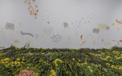 Volume 12: Expanding the Canon